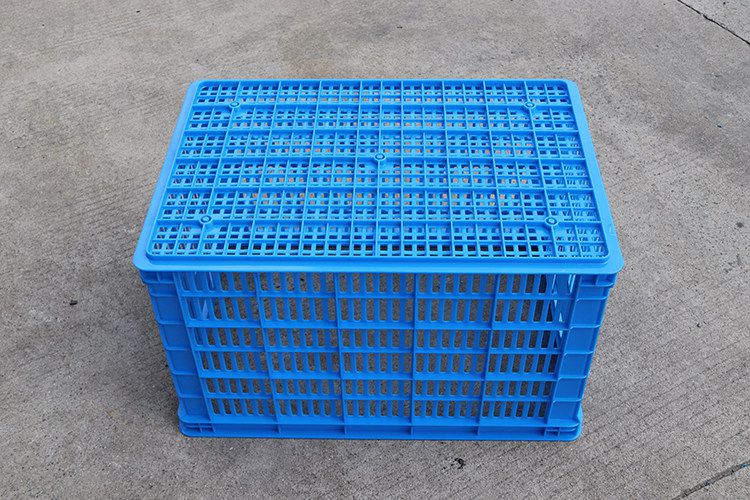 680-390 新藍(lán)（2.4kg）